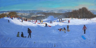 Allestree Park Derby, 2013 by Andrew Macara